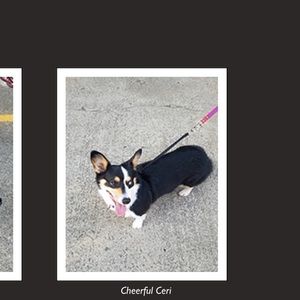 Meet your Posher, Avery